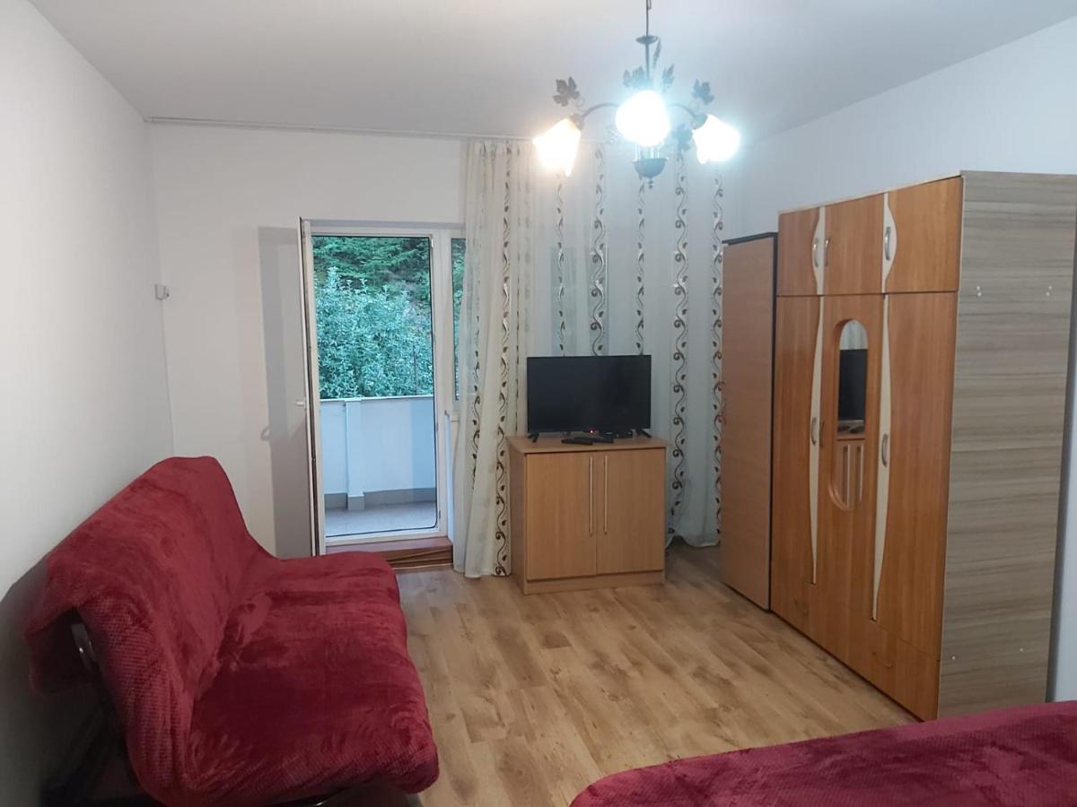 Apartament Nemira Slănic-Moldova Eksteriør billede