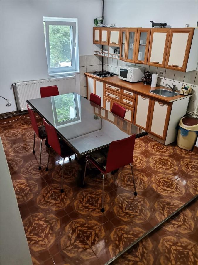 Apartament Nemira Slănic-Moldova Eksteriør billede